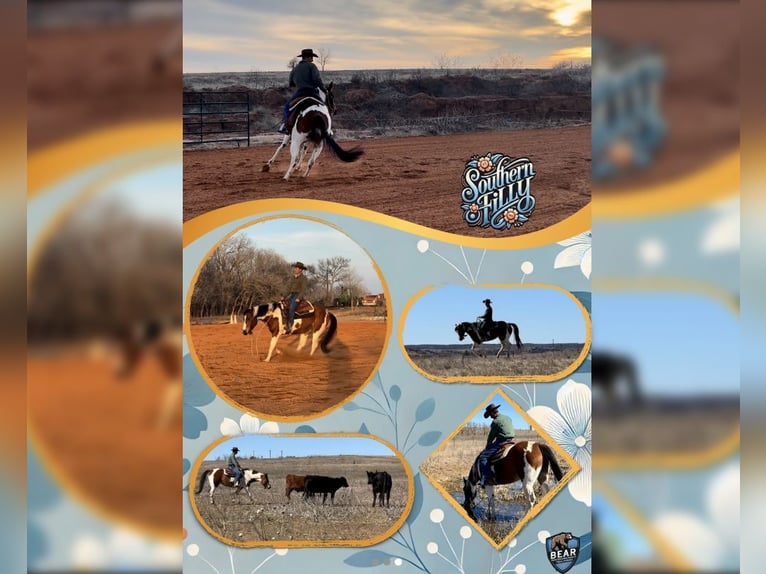 Paint Horse Mare 5 years 15 hh Tobiano-all-colors in Kingfisher, OK