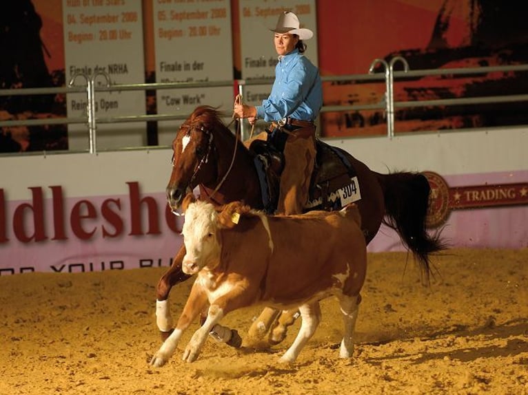 Paint Horse Mare Foal (07/2025) Dunalino in Dreisbach