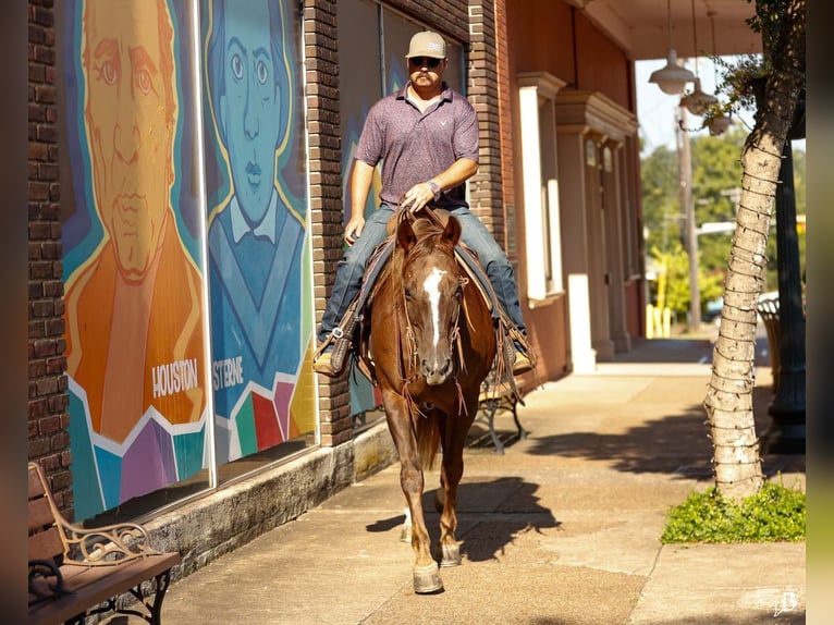 Paint Horse Merrie 11 Jaar 152 cm Roodvos in Lufkin, TX