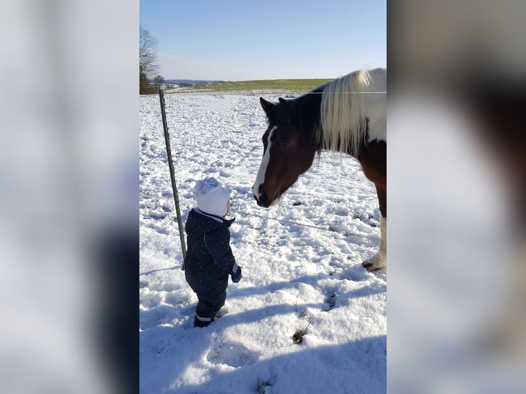 Paint Horse Mix Merrie 12 Jaar 147 cm Gevlekt-paard in Adelsheim