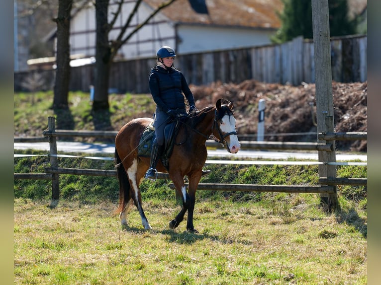 Paint Horse Mix Merrie 4 Jaar 145 cm Gevlekt-paard in Neustadt (Wied)