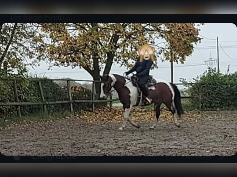 Paint Horse Merrie 5 Jaar 143 cm Gevlekt-paard in Müllheim