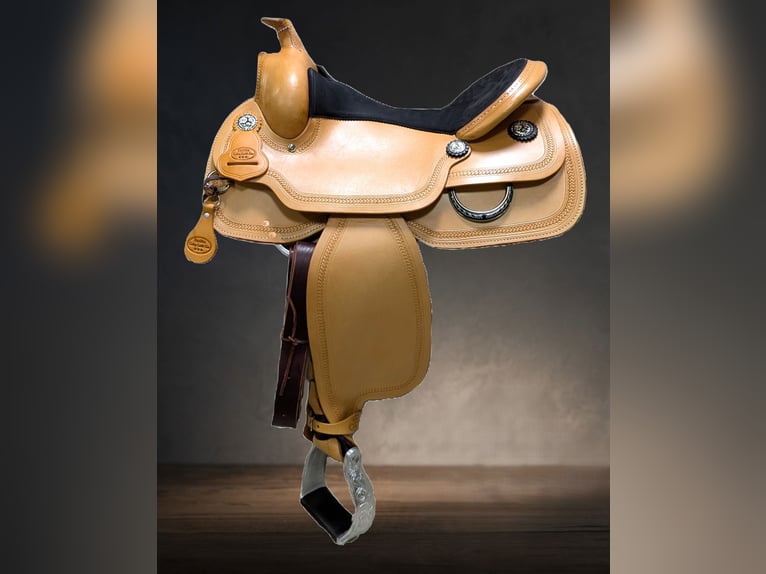 Paint Horse Merrie 5 Jaar 152 cm Zwart in Kirchheimbolanden