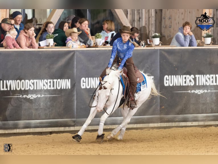 Paint Horse Merrie 7 Jaar Tovereo-alle-kleuren in Missen-Wilhams