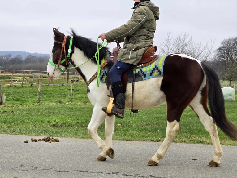 Paint Horse Mix Ruin 7 Jaar 142 cm Gevlekt-paard in Linkenbach