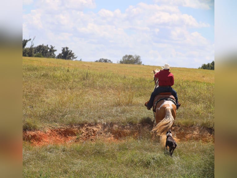 Paint Horse Ruin 8 Jaar 155 cm Gevlekt-paard in Grand Saline