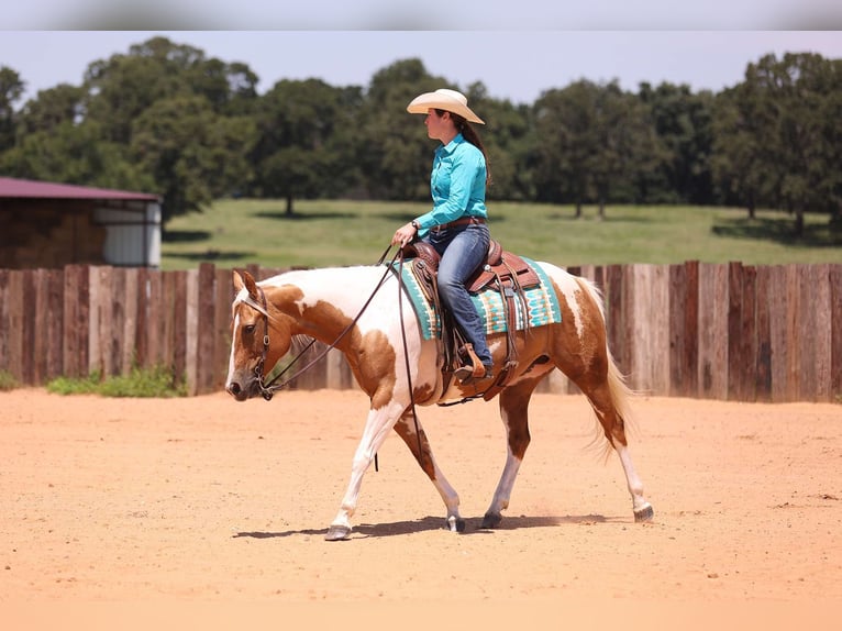 Paint Horse Stute 7 Jahre in Adair Ok