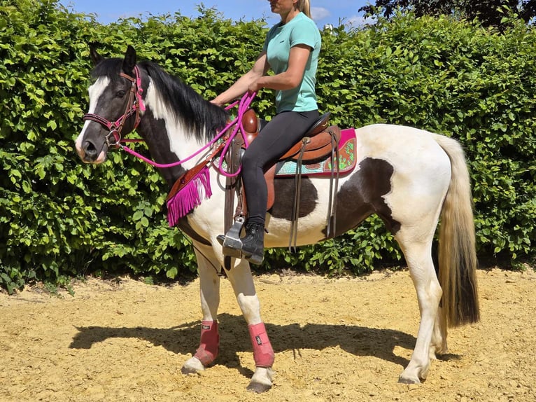 Paint Horse Mix Wałach 4 lat 150 cm Srokata in Linkenbach