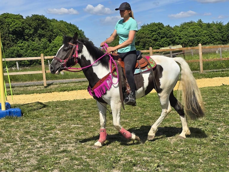 Paint Horse Mix Wałach 4 lat 150 cm Srokata in Linkenbach
