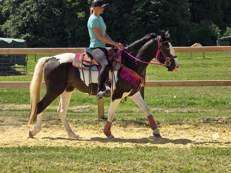 Paint Horse Mix Wałach 4 lat 150 cm Srokata in Linkenbach