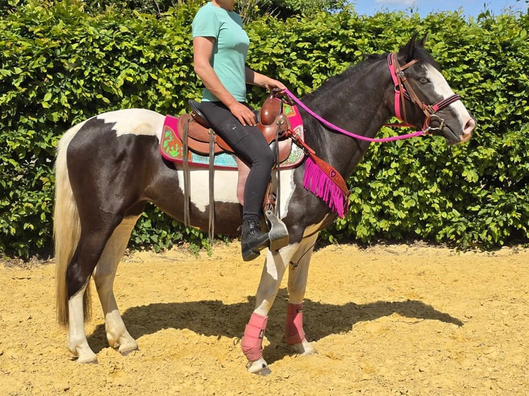 Paint Horse Mix Wałach 4 lat 150 cm Srokata in Linkenbach