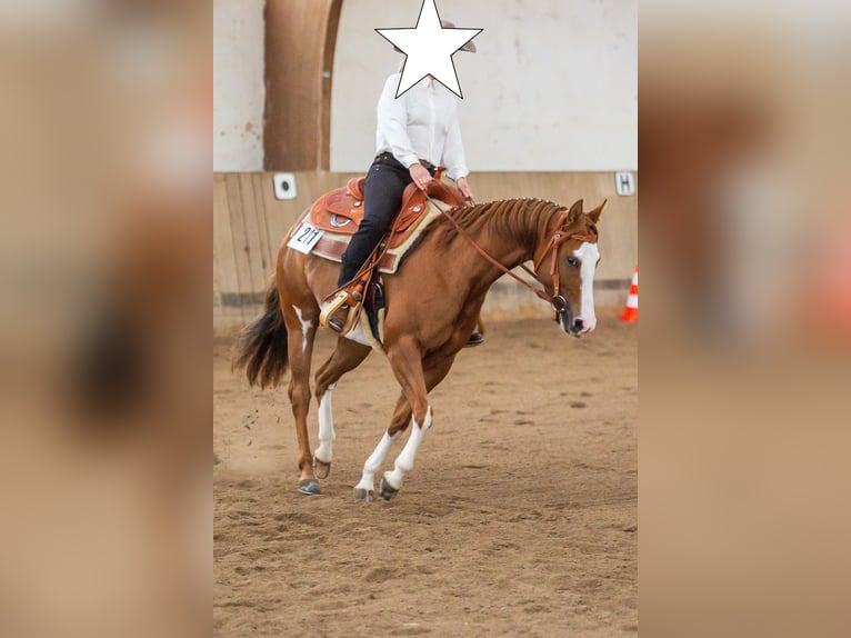 Paint Horse Yegua 11 años 148 cm Overo-todas las-capas in Bretten