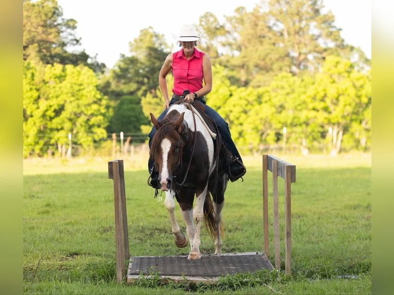 Paint Horse Yegua 4 años 145 cm Tobiano-todas las-capas in Lufkin, TX