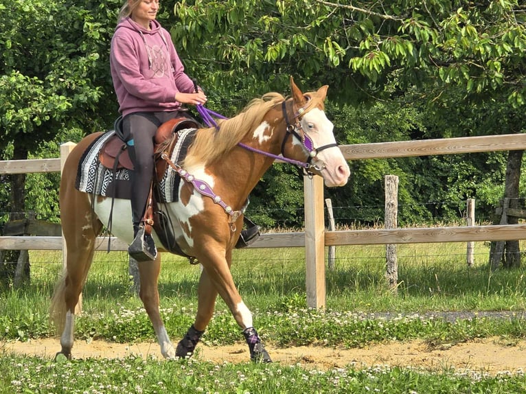 Paint Horse Yegua 4 años 150 cm Overo-todas las-capas in Linkenbach