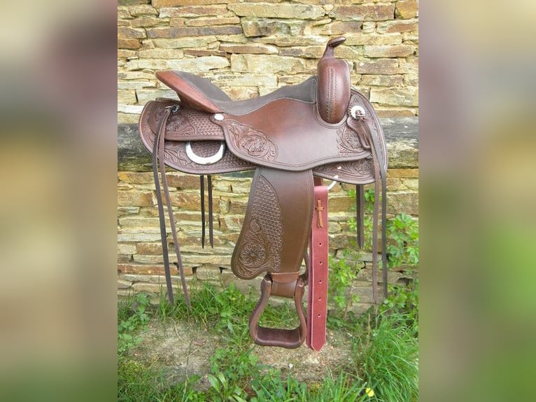 Partbred árabe Mestizo Caballo castrado 5 años 148 cm Atigrado/Moteado in Assling