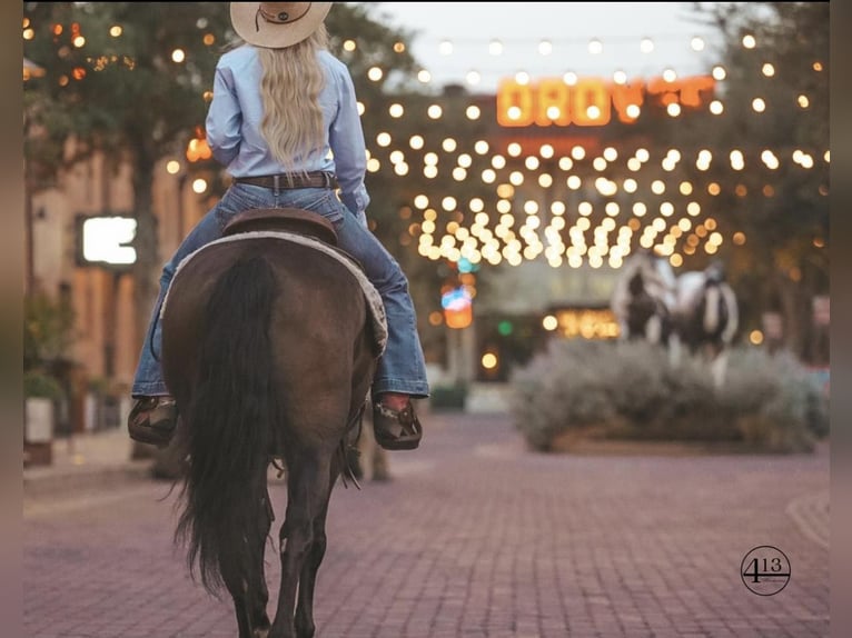 Percherón Caballo castrado 10 años 157 cm Castaño rojizo in Casa Grande AZ