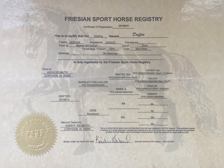 Percheron Castrone 6 Anni 173 cm Roano blu in Fairbank IA
