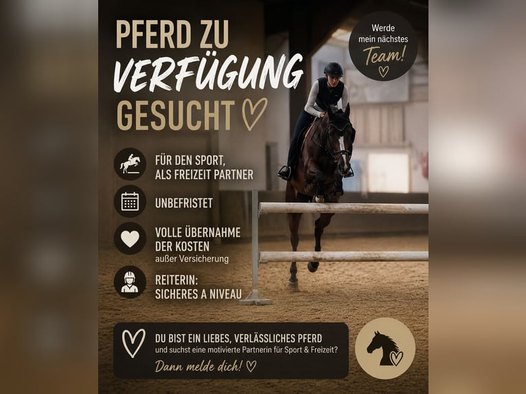 Pferd zur Verfügung gesucht