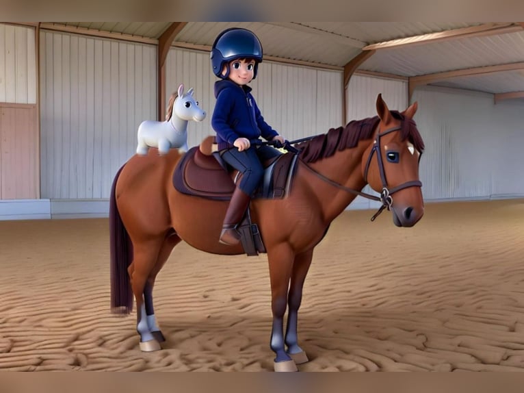 Pferd zur Verfügung gesucht Pferd zur Verfügung gesucht