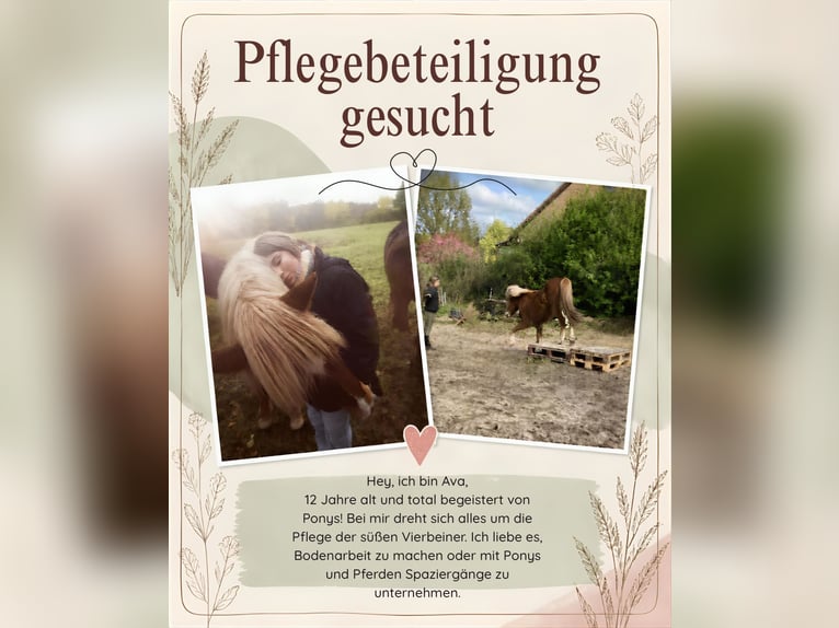 Pflegebeteiligung in Berlin gesucht