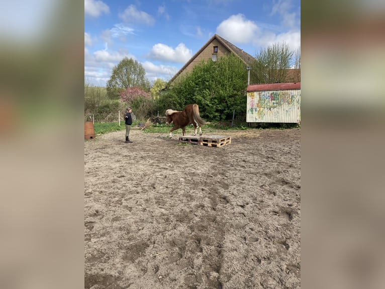 Pflegebeteiligung in Berlin gesucht
