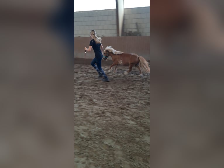 Pflegebeteiligung zu zweit gesucht - Raum Jockgrim