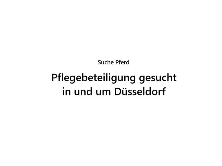 Pflegebeteiligung zum Einstieg in das Pferdewesen Pflegebeteiligung zum Einstieg in das Pferdewesen