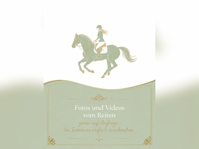 Pflege/Reitbeteiligung 🌾🐴