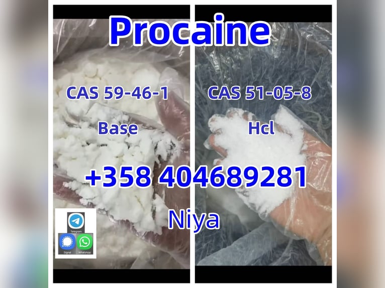 Procaine Hydrochloride Cas 51-05-8 Manufacturer Supply High Quality Cas 51-05-8 Hydrochloride Hcl Di