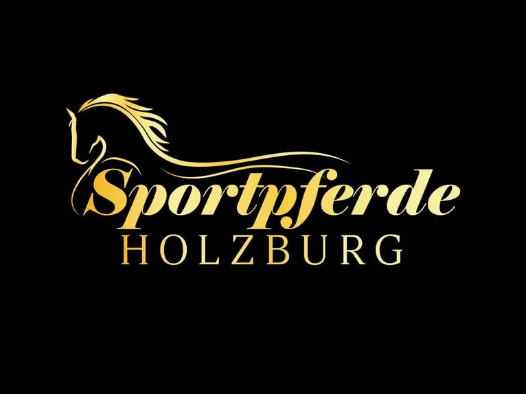 Bereiter/in mit oder ohne Prüfung