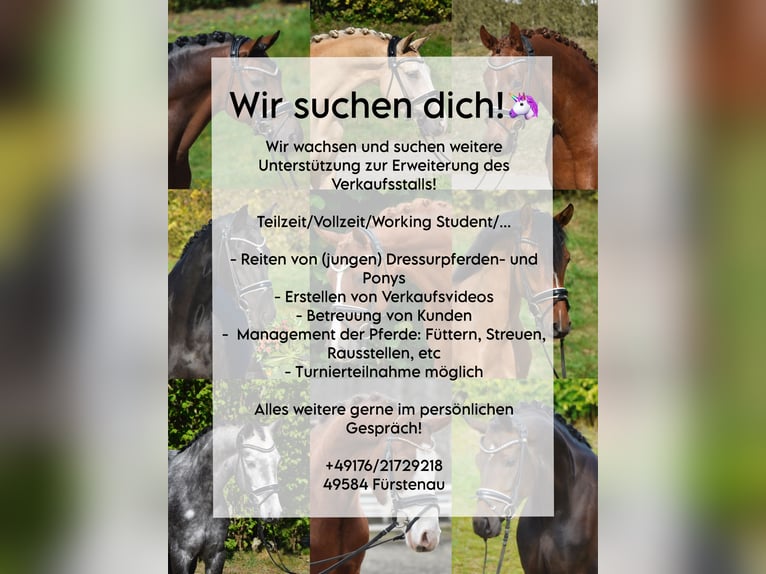 Cercasi preparatore/assistente (m/f/d)! Part-time, full-time, tirocinio…