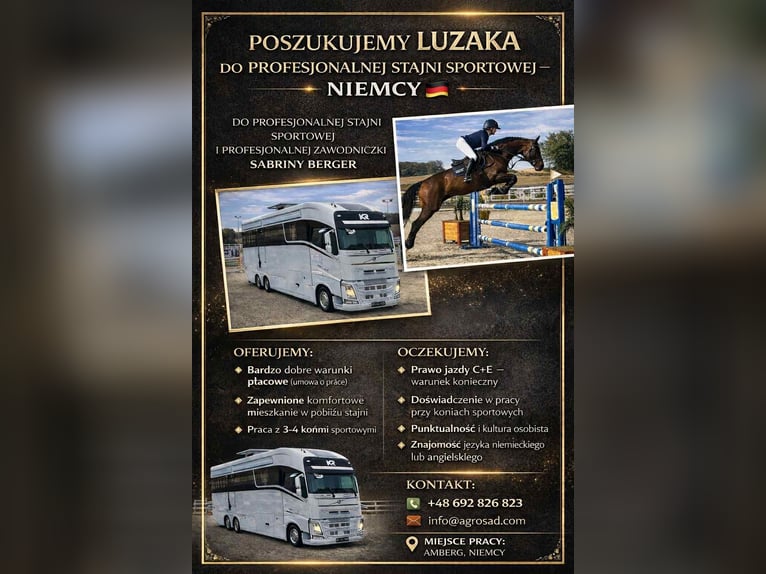 Cerchiamo un groom per un cavaliere professionista.