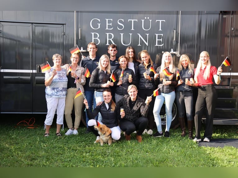 Cercasi assistente di scuderia (m/f/d)