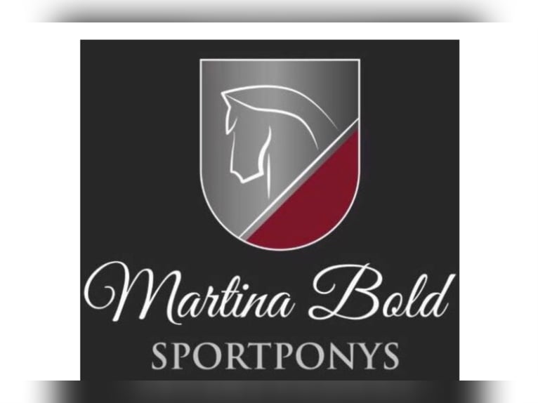 Pfleger/Pferdewirt in Teil-oder Vollzeit gesucht 