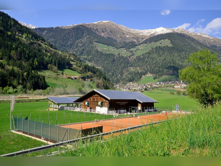 Insegnante di equitazione per l'hotel Stroblhof in Alto Adige cercasi
