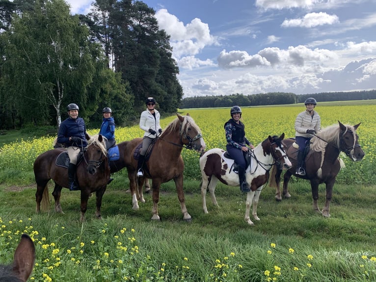 Ricerca di un responsabile del maneggio presso l'Hotel Reiterhof Altmühlsee