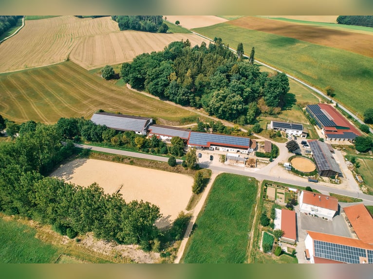 Suche selbständigen Bereiter für eigenen Stalltrakt inkl. Sattelkammer, etc.