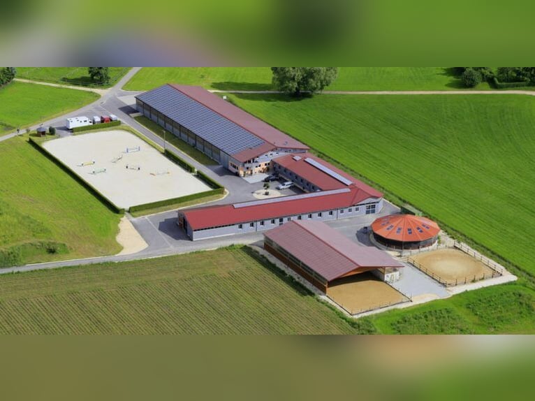 Mithilfe bei kleinem Sportpferdebestand gesucht!