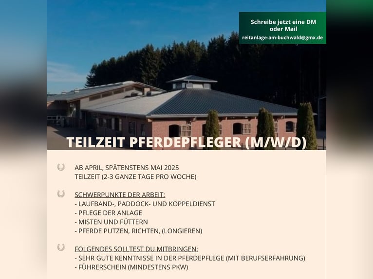 Ab März: Teilzeit Stallhilfe/Pferdepfleger (m/w/d)