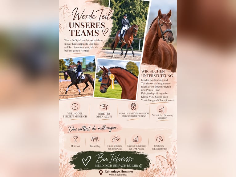 Operatore equestre o apprendista nell’addestramento classico dei cavalli