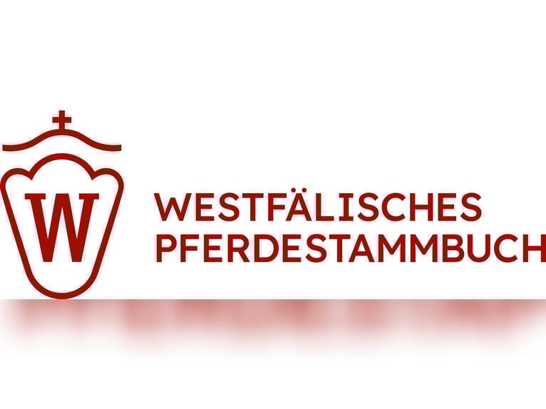 Pferdepfleger (m/w/d) im Pferdezentrum in Vollzeit