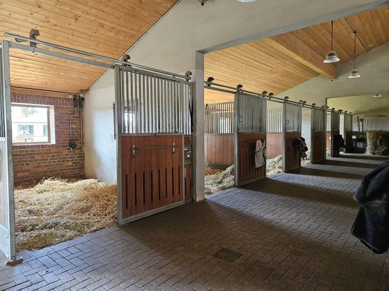 Teilzeit oder Vollzeitmitarbeiter (m/w/d) für unseren Dressurstall nach 50259 Pulheim Nähe Köln 