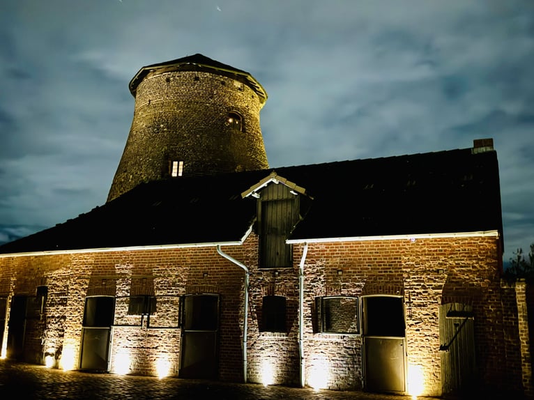 Teilzeit oder Vollzeitmitarbeiter (m/w/d) für unseren Dressurstall nach 50259 Pulheim Nähe Köln 