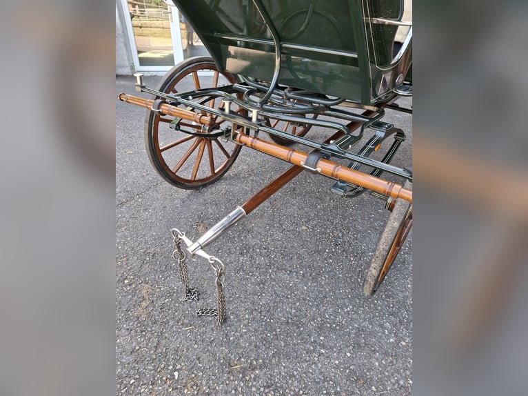 Carrello da dressage Kühnle nuovo di zecca a due posti