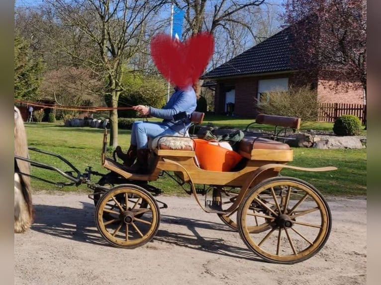 Carro da caccia