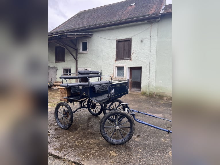 Carrozza, a uno e a due posti