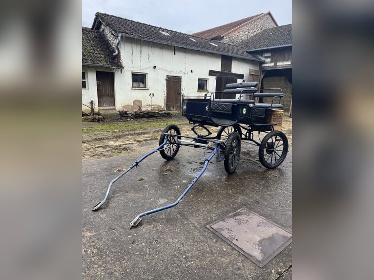 Carrozza, a uno e a due posti