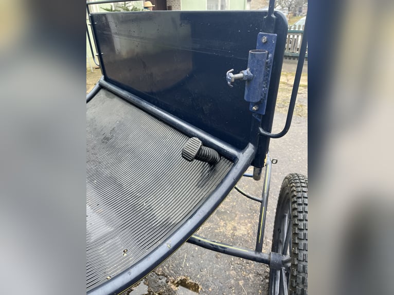 Carrozza, a uno e a due posti