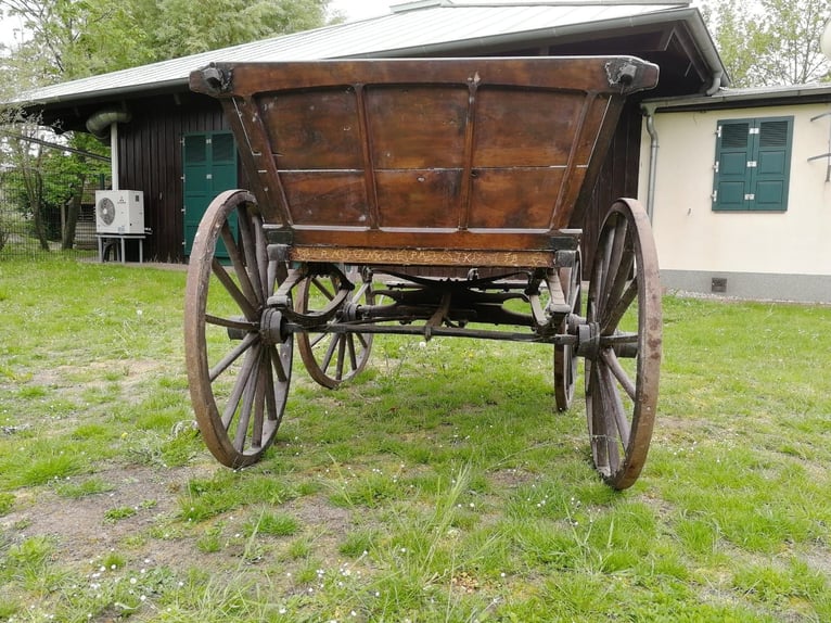 Carrozza
