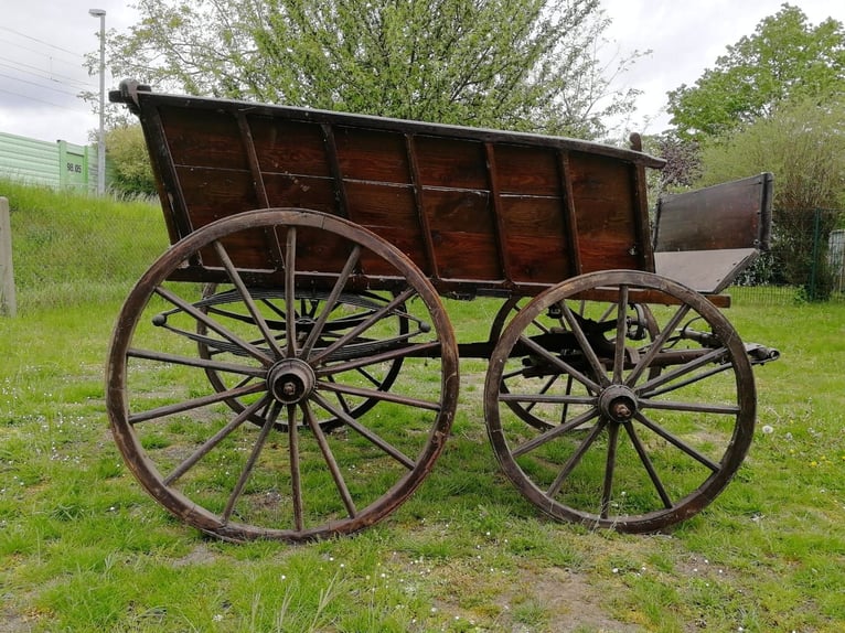 Carrozza